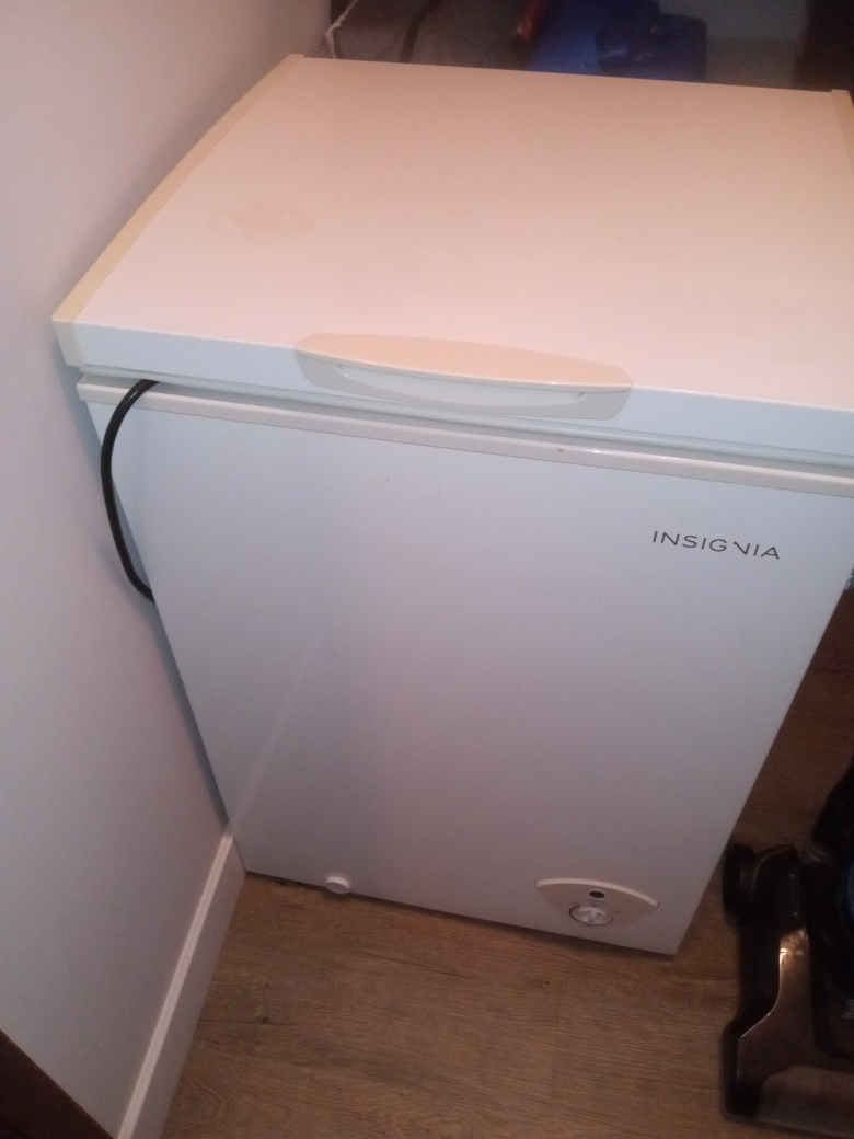 Insignia Chest Freezer - White