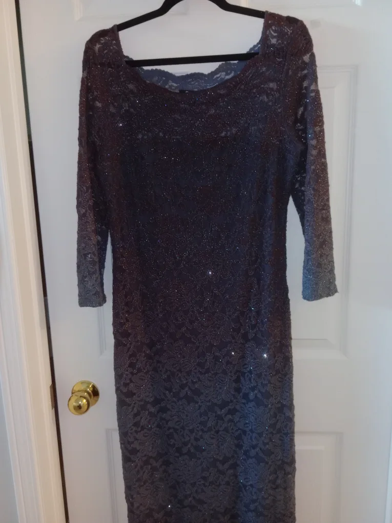 Lace Formal Dress-Size 6 image indicator(2)