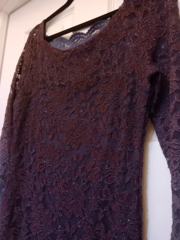 Lace Formal Dress-Size 6 image indicator(5)