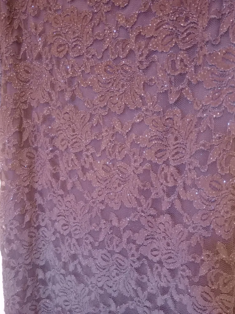 Lace Formal Dress-Size 6 image indicator(6)