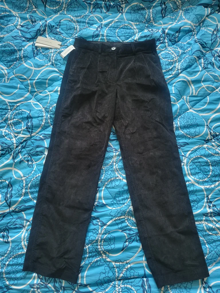 Babaton Quota Corduroy Pants - Size 6 image indicator(2)