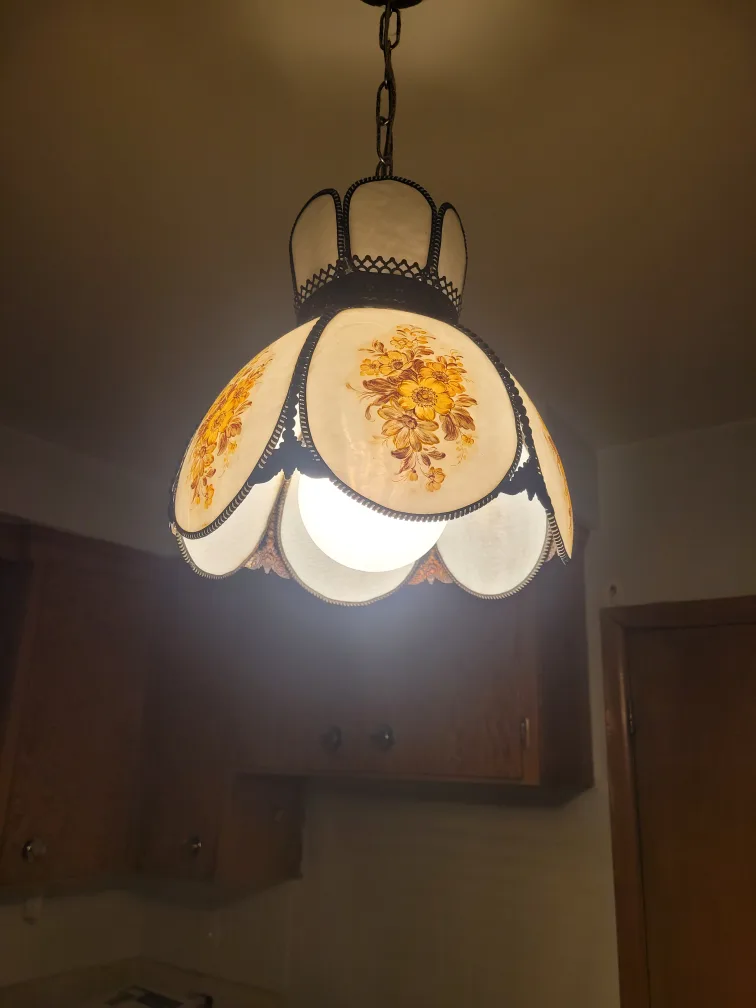 Vintage ceiling light fixture image indicator(2)