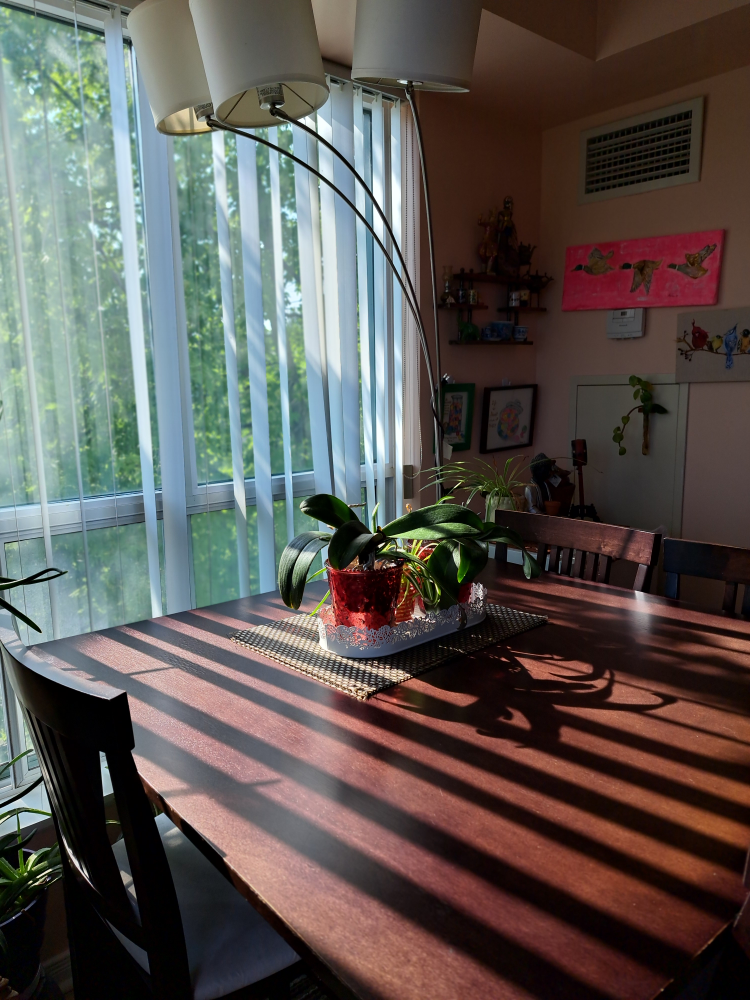 Dining Table and Chairs Set - photo 5