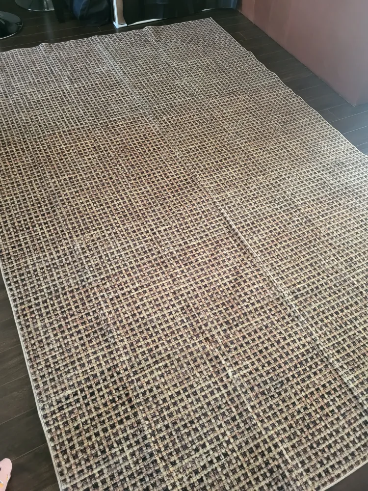 6ft X 9ft Area rug (Brand new) image indicator(2)