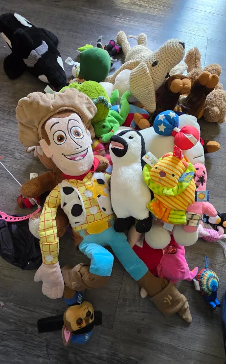 Assorted Plush Toys - Woody, Penguin, Dog & More! thumbnail