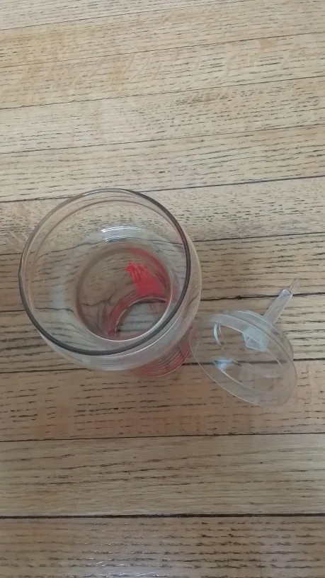 Vintage CN Tower glass image indicator(3)