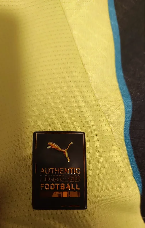 Puma Manchester City Grealish #10 Jersey Player Version image indicator(2)