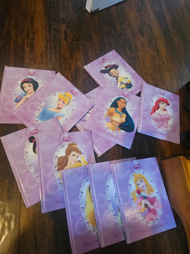 Disney Fairies and Princess StoryBooks(Please read description) image indicator(4)
