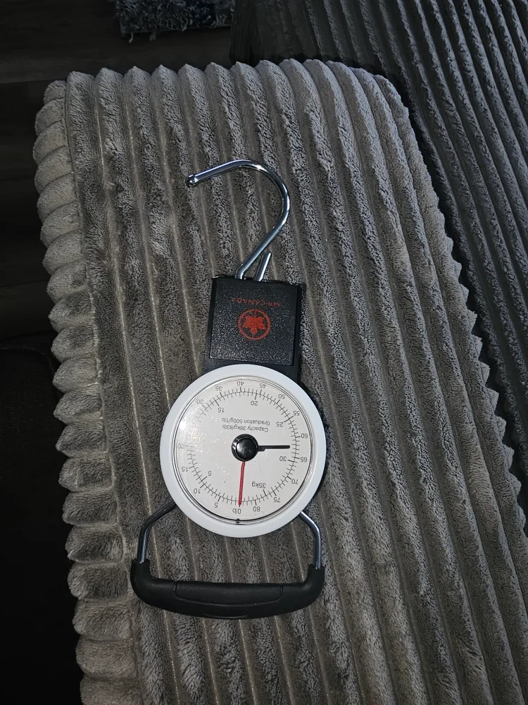 Air Canada Luggage Scale image indicator(2)