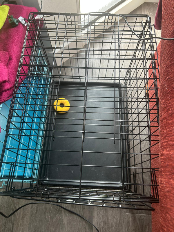 iCrate Dog Crate - 24x17x18 inches