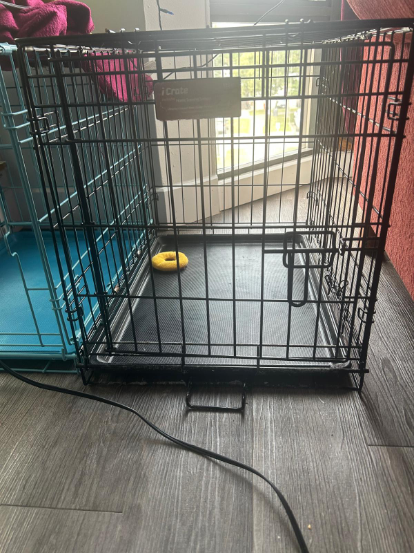 iCrate Dog Crate - 24x17x18 inches - photo 2