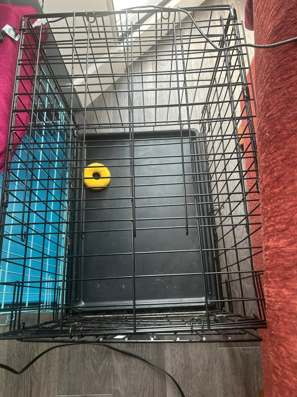 iCrate Dog Crate - 24x17x18 inches - photo 3