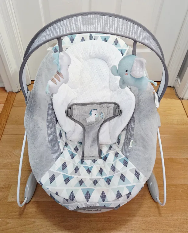 Ingenuity SmartBounce Automatic Bouncer - Chadwick image indicator(5)