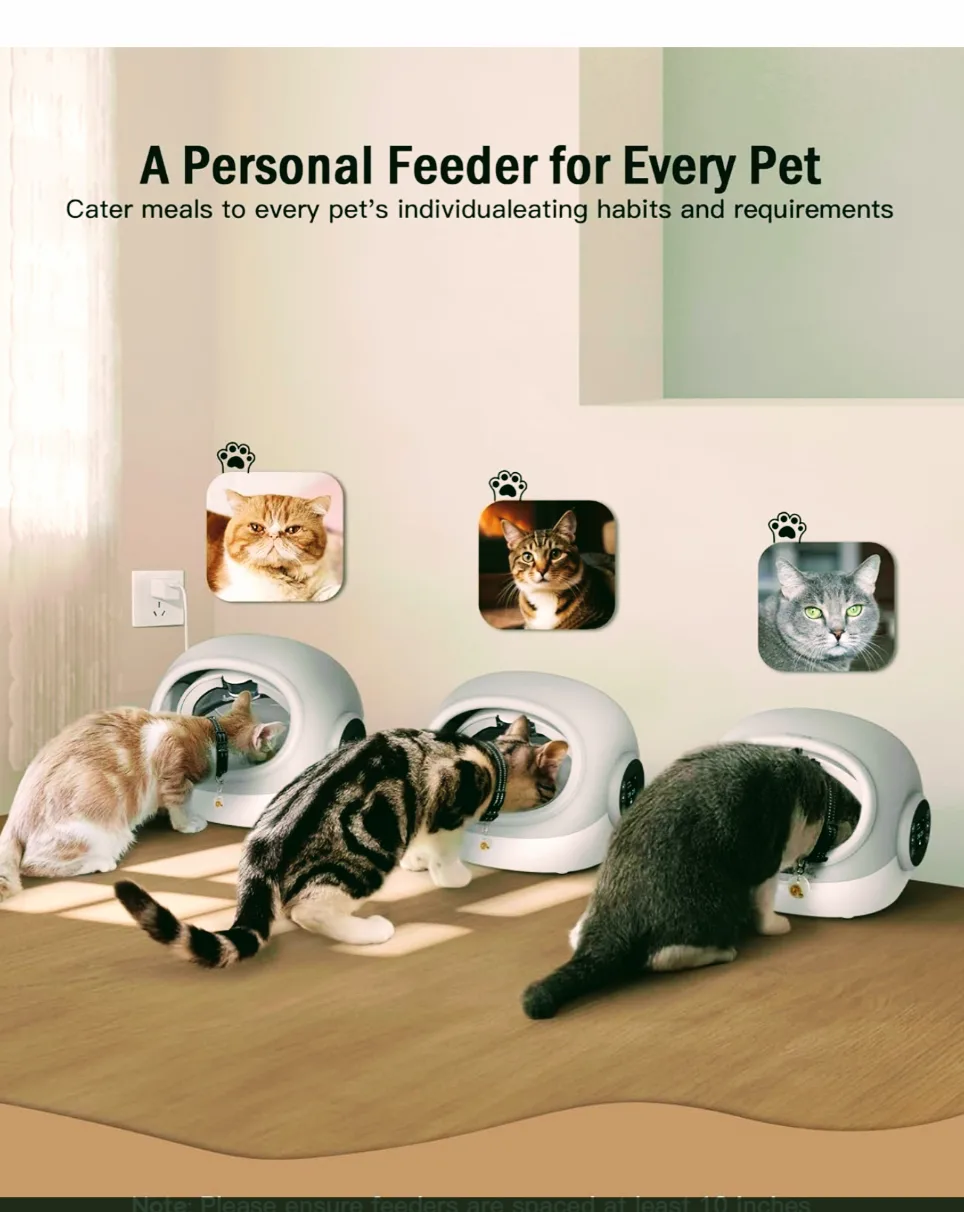 Automatic Cat Feeder thumbnail