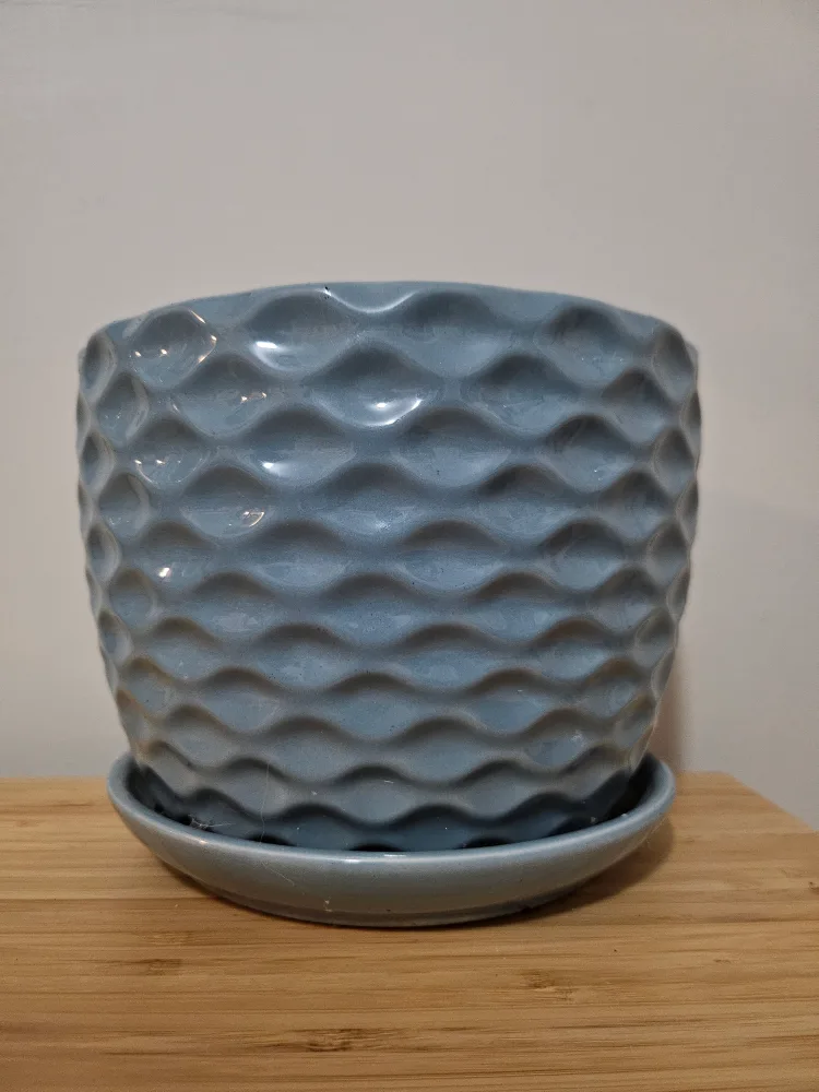 Blue Ceramic Plant Pot with Saucer thumbnail