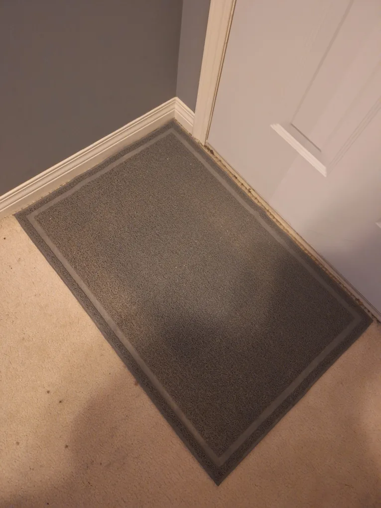 Grey Door or Litter Mat thumbnail