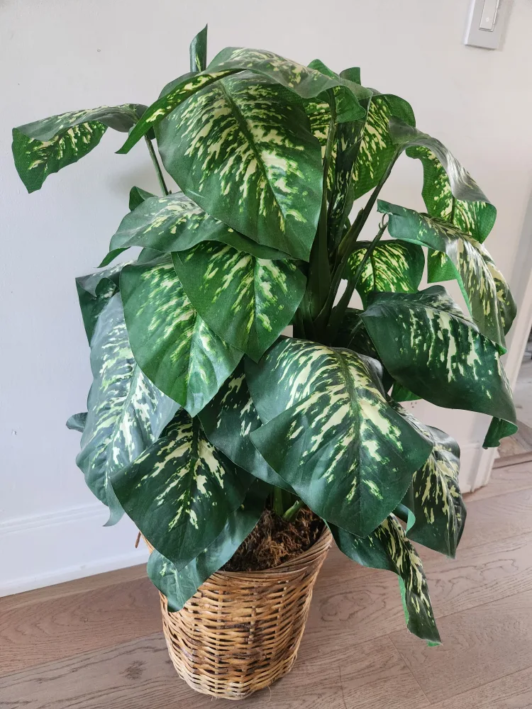 big faux plant in wicker basket 42" thumbnail