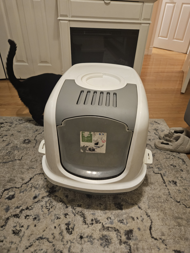 Cat Litter Box With Lid
