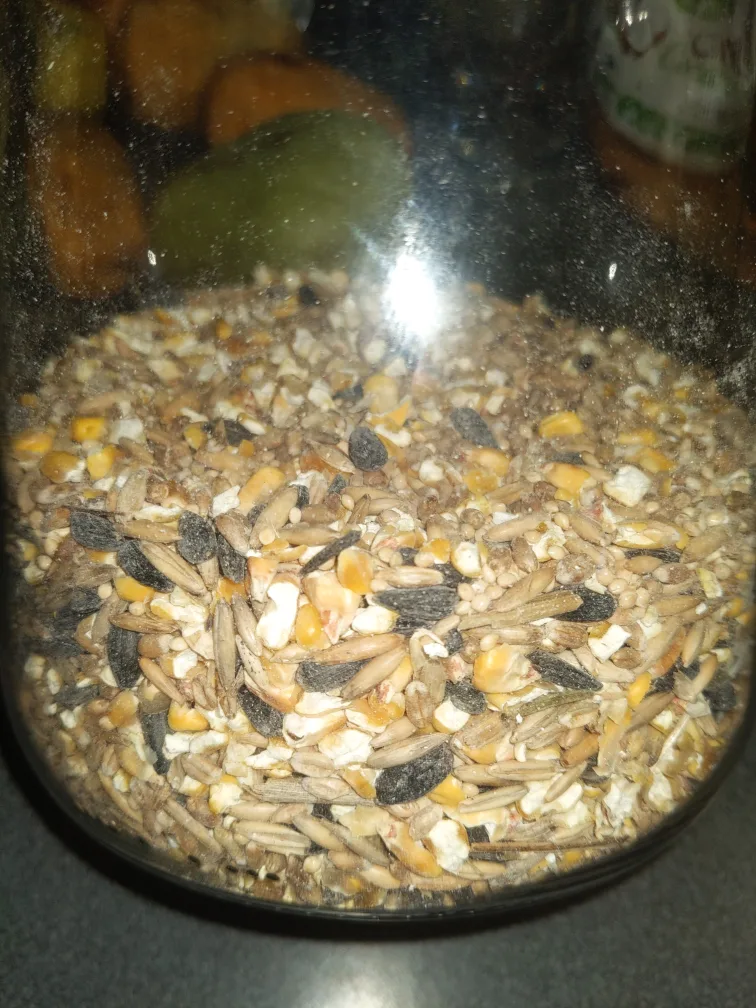 Bird Seed Mix thumbnail