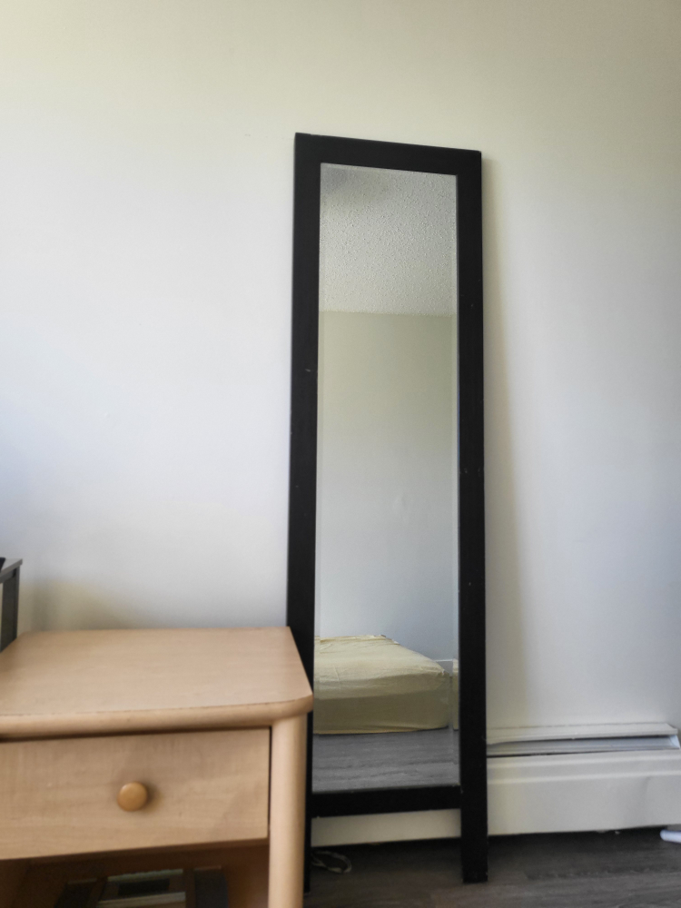 Black-framed full-length mirror
