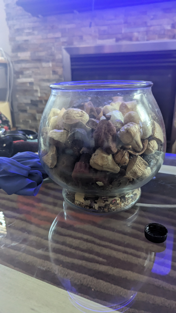 Decorative Potpourri Bowl🇨🇦