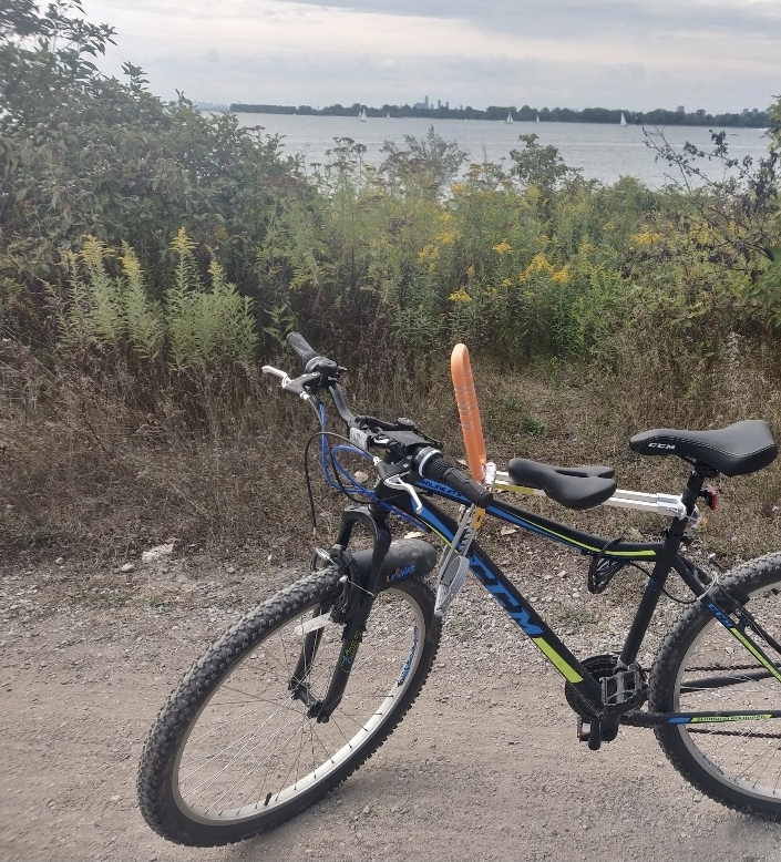 Bike attachment for kids - photo 2