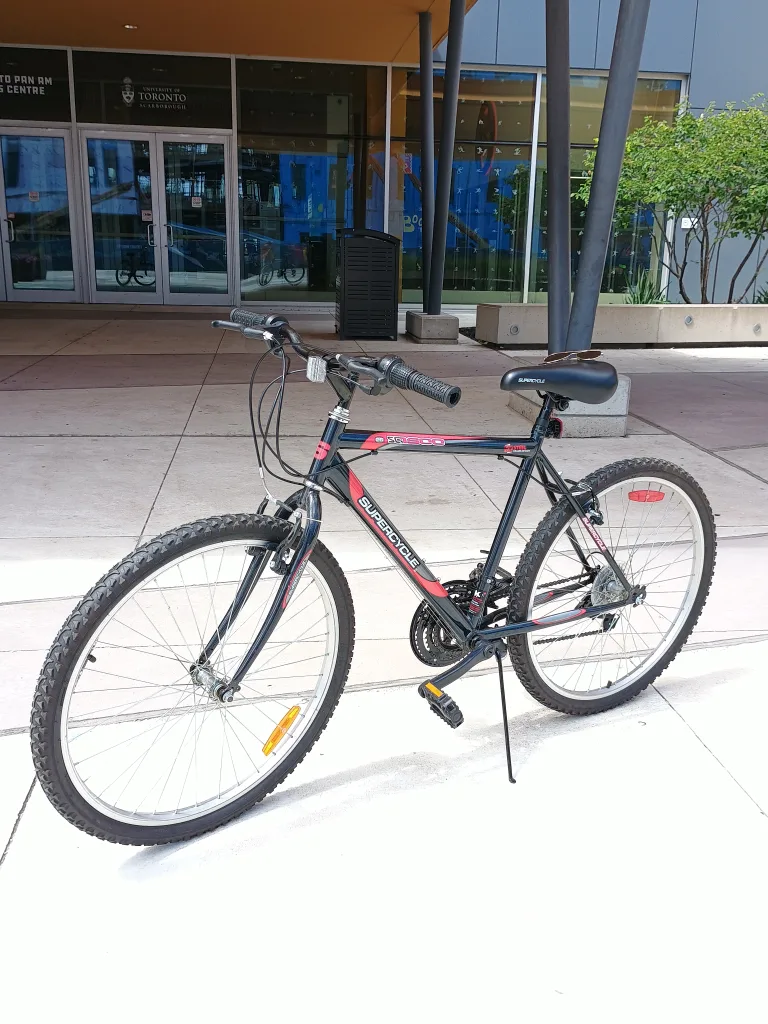 🔥 This Bike Should NOT Be $120 (But It Is) thumbnail