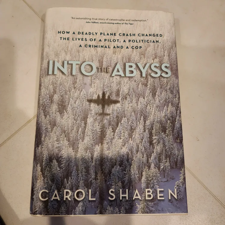 Into the Abyss by Carol Shaben thumbnail