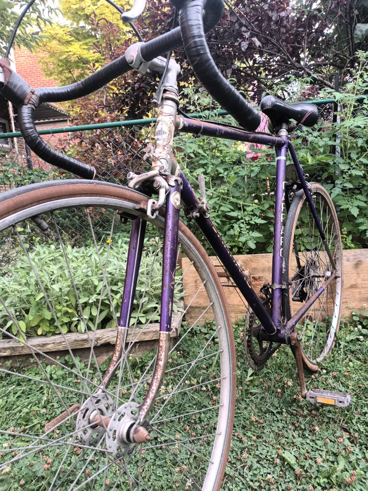 Vintage Rusted Road Bike thumbnail