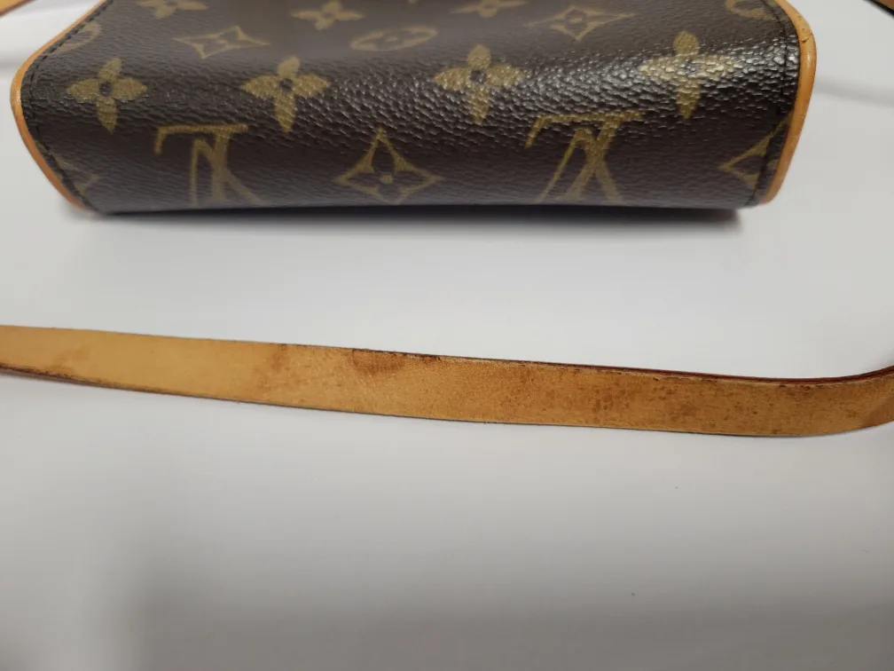 Louis Vuitton Monogram Florentine M image indicator(6)