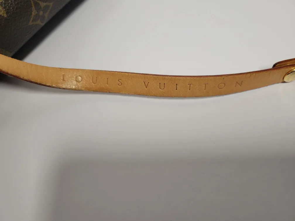 Louis Vuitton Monogram Florentine M image indicator(7)