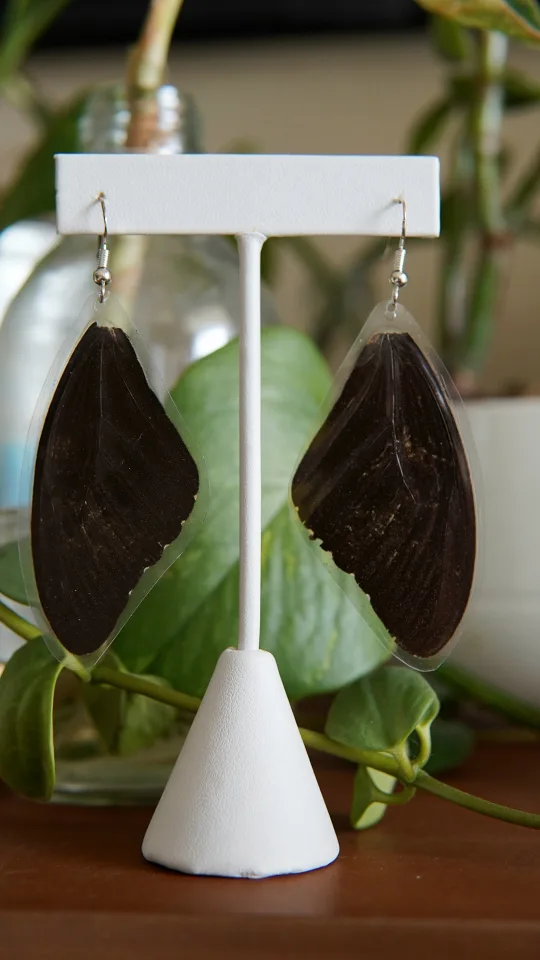 Butterfly Wing Earrings thumbnail