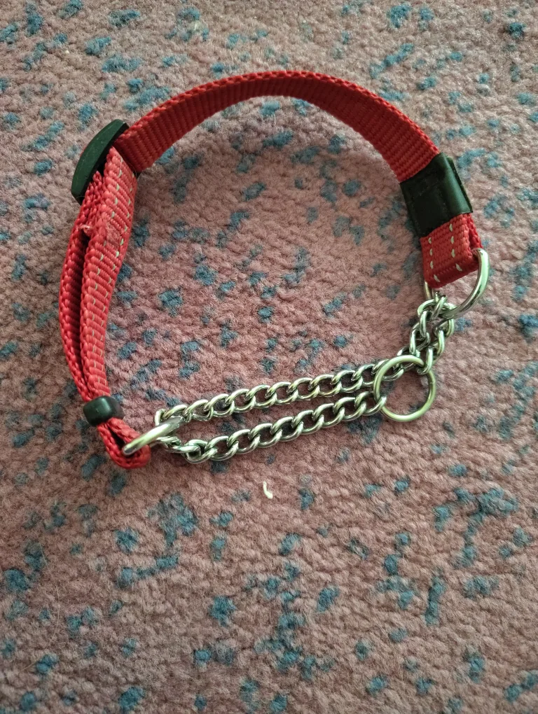 Dog Collars & Leashes image indicator(3)