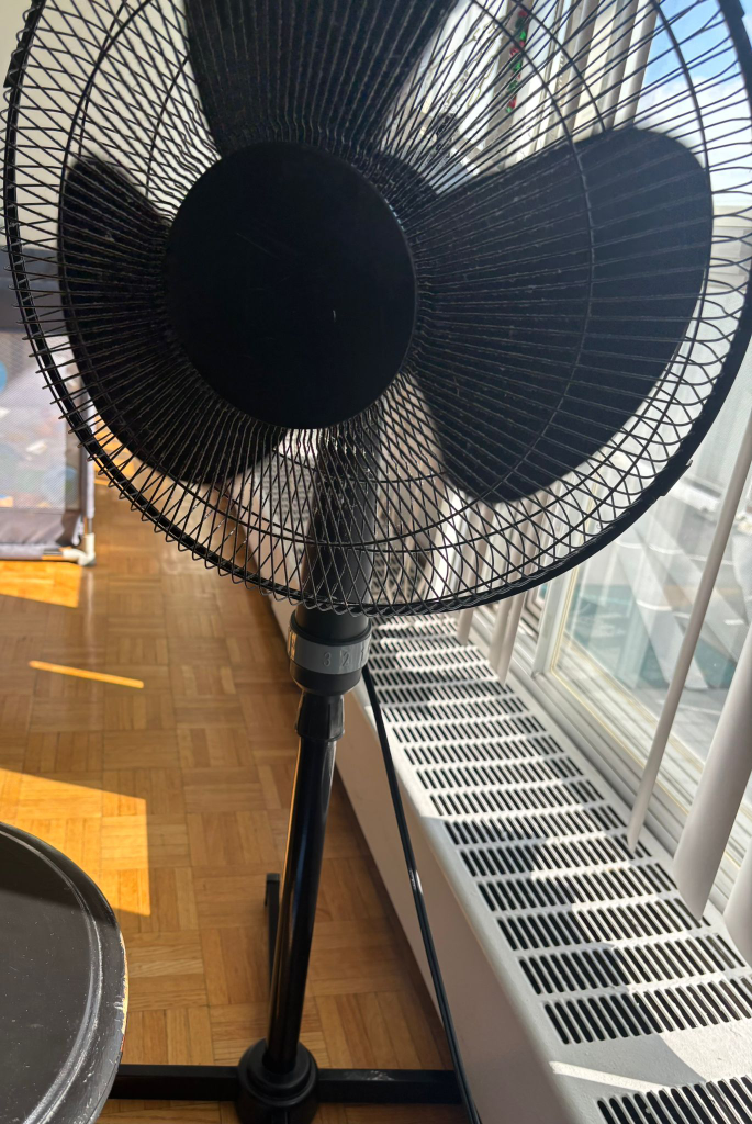 Black Standing Fan