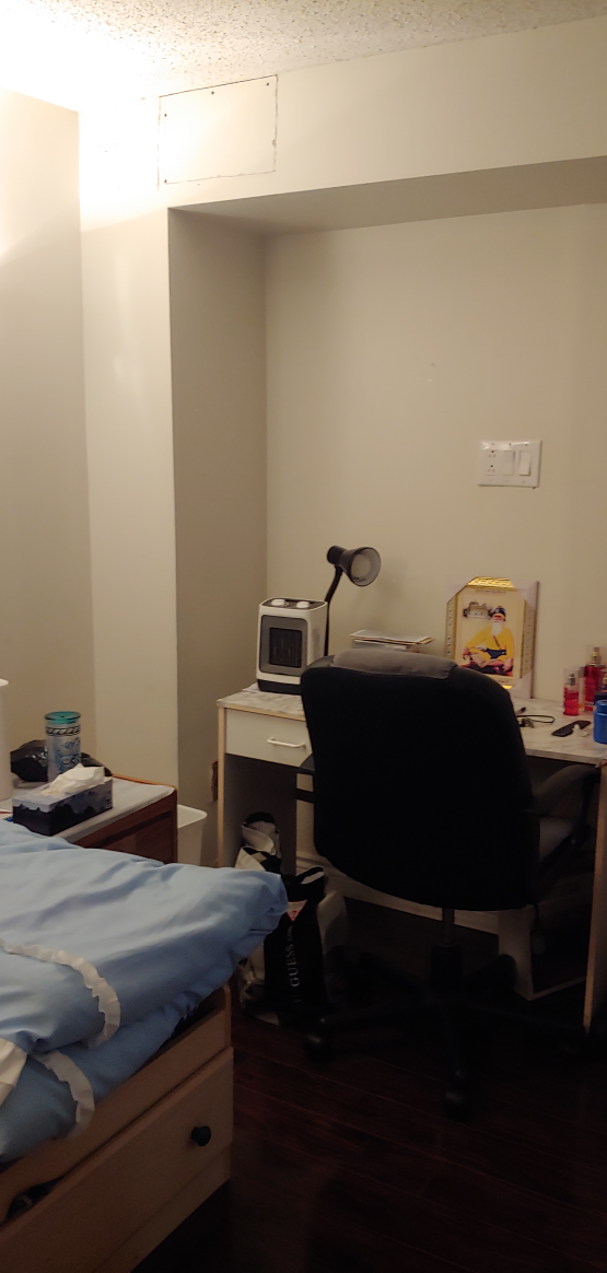 Girl Only Room Available Near Sheridan College Brampton - photo 2