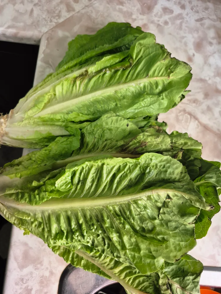 food items image indicator(2)