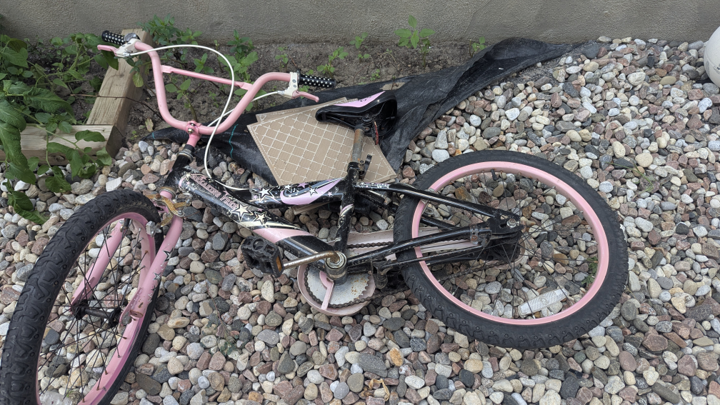 Pink 20" Kids Bike🇨🇦
