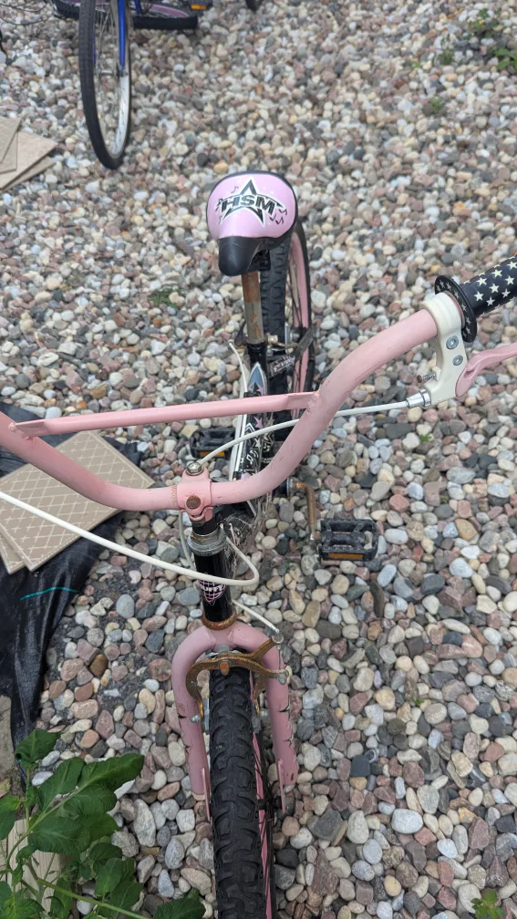 Pink 20" Kids Bike🇨🇦 image indicator(4)