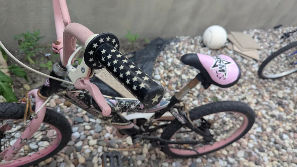 Pink 20" Kids Bike🇨🇦 image indicator(5)