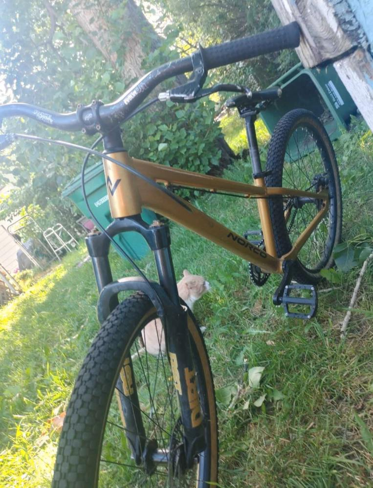 Norco Dirt Jumper Bike - photo 2