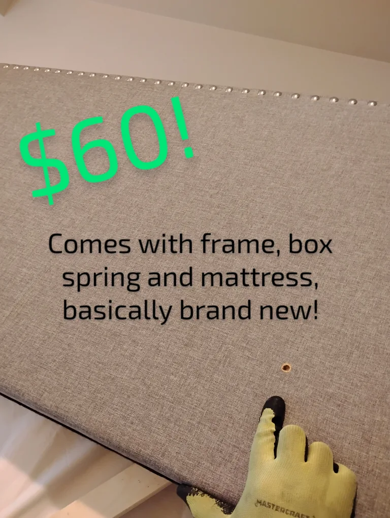 **EVERYTHING $20! MUST GO!** image indicator(6)