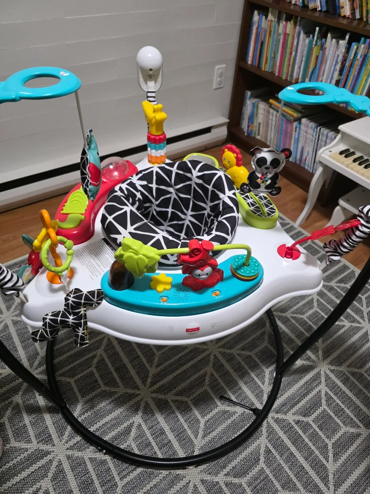 Fisher-Price Animal Wonders Jumperoo thumbnail