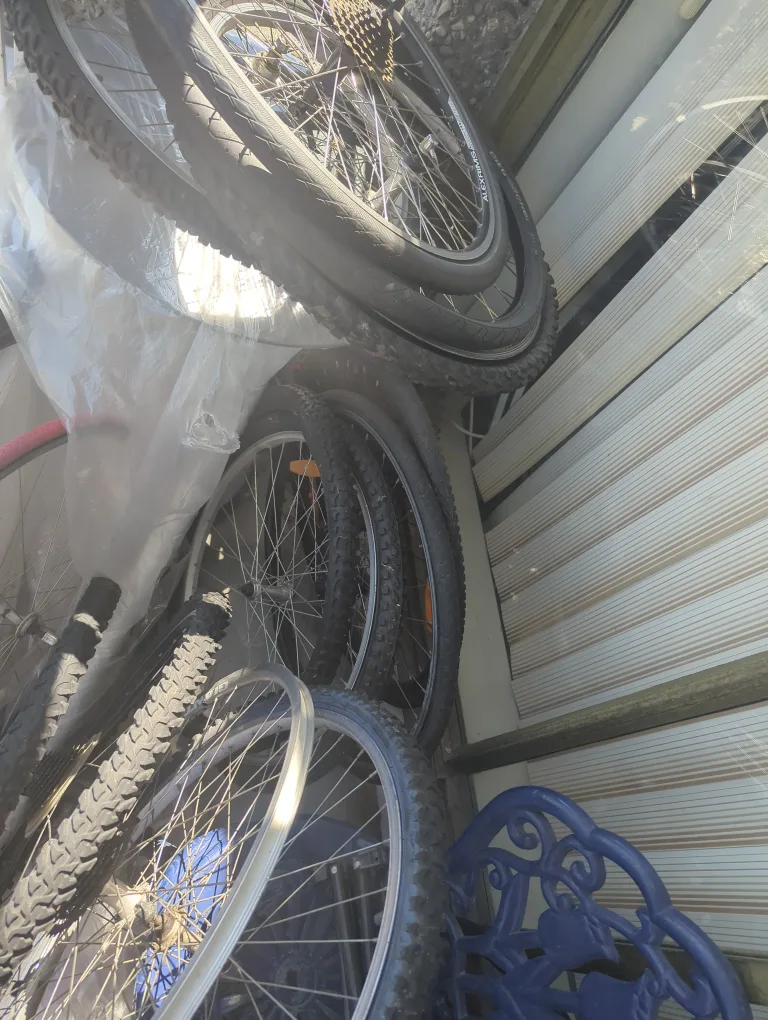 Bike Wheels various sizes + tires & free minor  tuneup / thumbnail