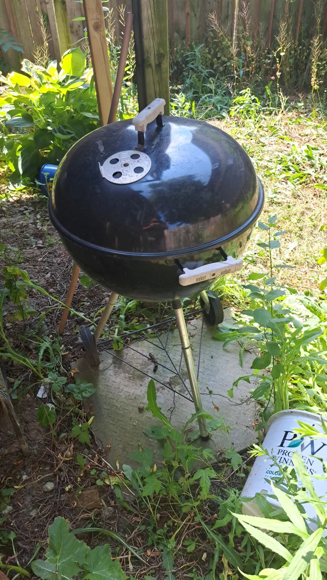 Weber Kettle Grill thumbnail