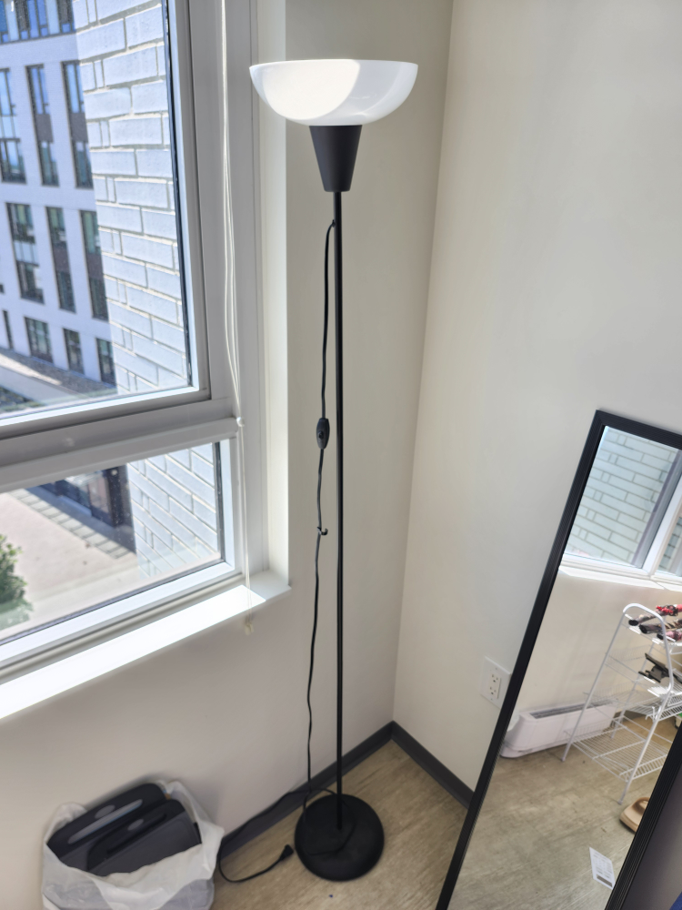 Floor Lamp - Black