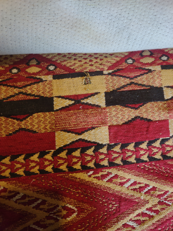 Patterned Area Rug Egyptian - photo 3