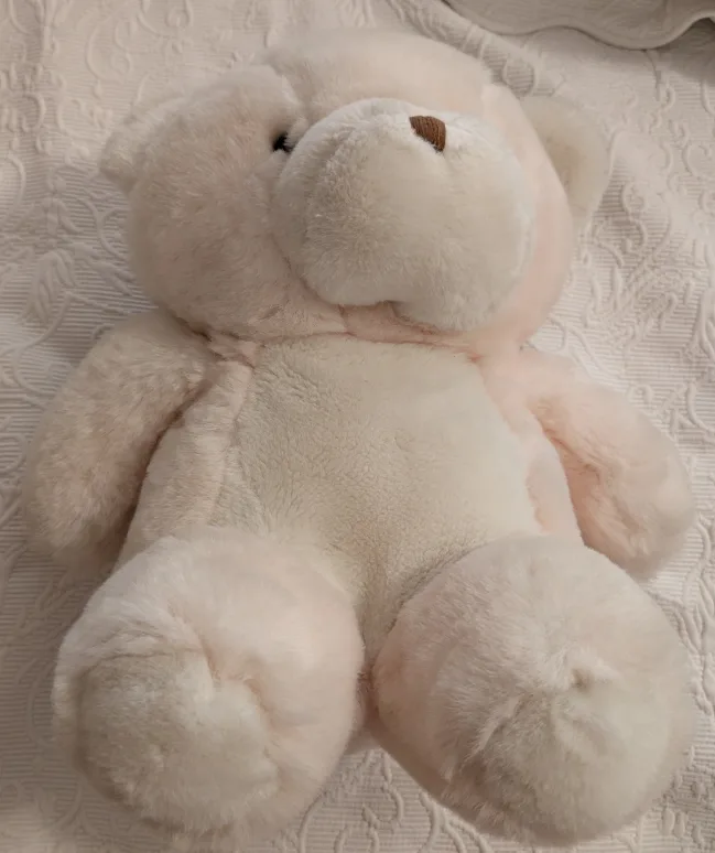 Cute Plush Teddy Bear thumbnail