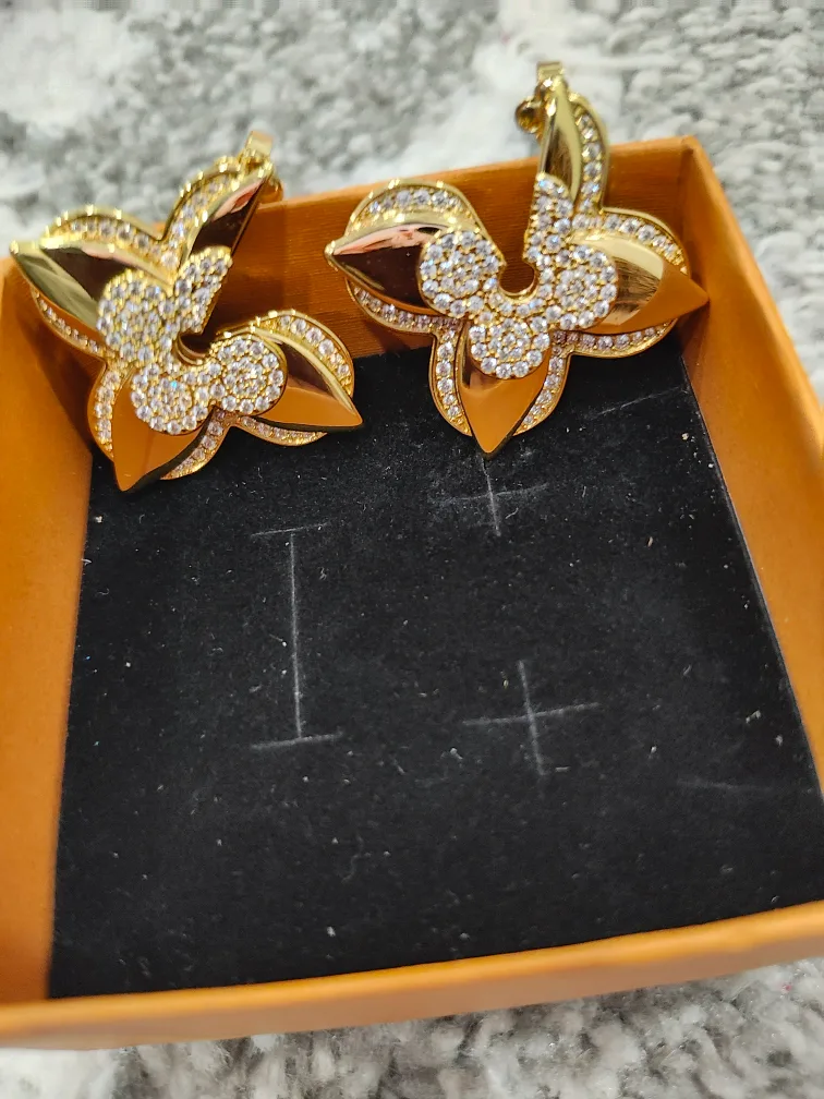 Louis Vuitton Earrings image indicator(5)