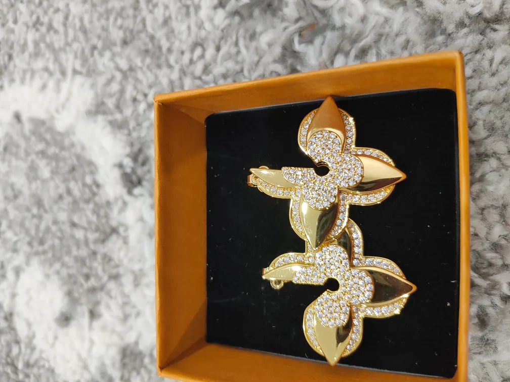 Louis Vuitton Earrings image indicator(6)