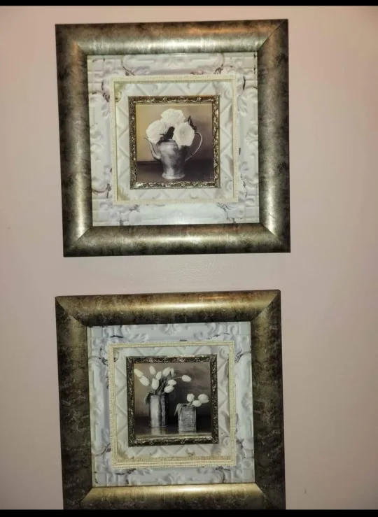 Set of 2 Framed Floral Prints image indicator(2)
